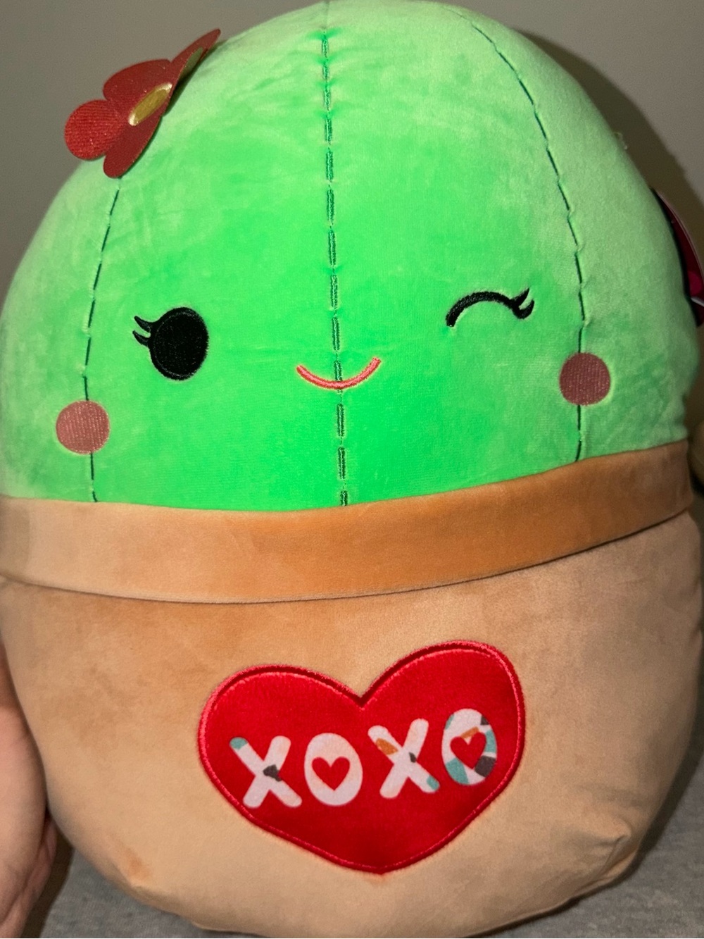 Shadi the Cactus Squishmallow